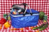 folding colorful picnic cooler bag