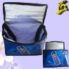 food Cooler bag