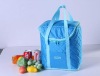 food cooler bag