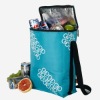 food cooler pack