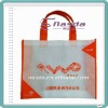 fresh design pp non woven bag