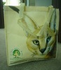 friendly high quality pp non-woven bag
