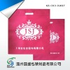 garment  bag GS-CKD-01017