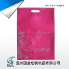 garment  bag GS-CKD-01019