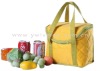 good design nylon cooler bag