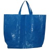 green IKEA pp woven bag
