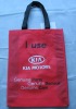 green eco friendly shopping bag