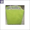 green stillstand bag
