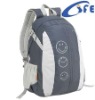 grey fancy backpack