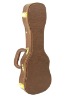 guitar case