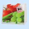 handle PP promotional bag