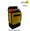 handle double cooler bag