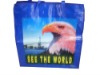 handled pp woven shopping bag
