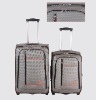 high capacity and hot sell luggage case