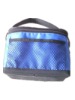 high capacity handysize hand-held cooler bag for cans