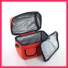 high quality environmentally friendly cooler bag for frozen food(DYJWCLB-022)