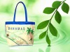 hot! NWB308 shopping bag