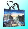 hot! laminated pp woven bag NWB390