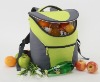 hot sale!! Insulated Cooler Backpack