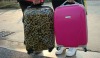 hot selling pantherine lady suitcase