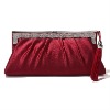 hot style 2012 clutch bag 025