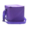 ice bag/cooler bag