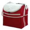 ice bag/cooler bag