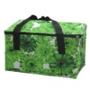 ice bag/cooler bag