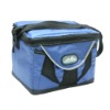 ice bag/cooler bag