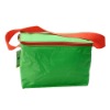 ice bag/cooler bag