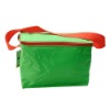 ice bag/cooler bag