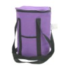 ice bag/cooler bag