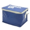 ice bag/cooler bag