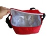 ice bag,ice box,cooler bag