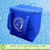 ice cooler bag