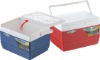 ice cooler box,mini cooler box