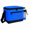 insulated 6 pack cooler bag