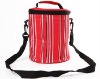 insulated cans cooler bag
