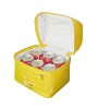 insulated  cooler bag