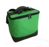 insulated cooler bag