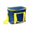 insulated cooler bag