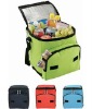 insulated cooler bag