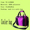 insulated cooler bag