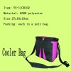 insulated cooler bag