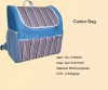 insulated cooler bag