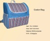 insulated cooler bag
