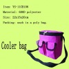 insulated cooler bag