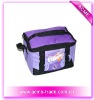 insulated cooler bag