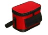 insulated cooler bag