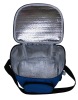 insulated cooler handbag
